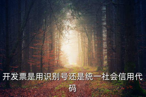 發(fā)票填寫統(tǒng)一社會(huì)代碼是什么，開發(fā)票要的稅號(hào)是統(tǒng)一社會(huì)代碼證號(hào)嗎