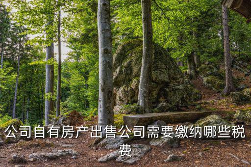 銷售房產(chǎn)公司交什么稅，銷售房產(chǎn)繳納什么稅
