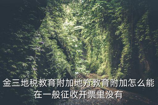 金三地稅教育附加地方教育附加怎么能在一般征收開(kāi)票里沒(méi)有