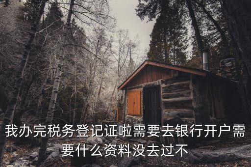 稅務(wù)登記以后需要什么資料，辦理稅務(wù)登記證都需要提供什么資料