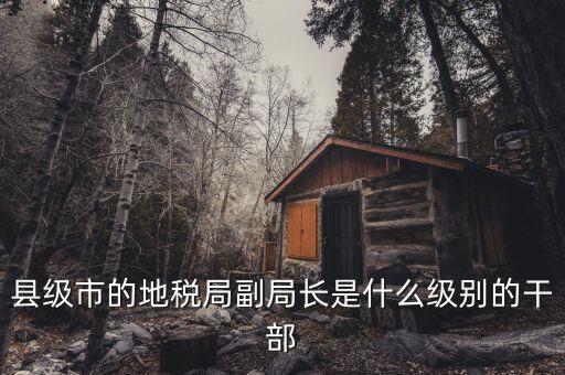 地稅局副局什么級(jí)別，縣級(jí)市的地稅局副局長(zhǎng)是什么級(jí)別的干部