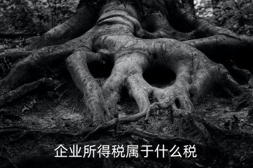 企業(yè)所得稅是什么稅，所得稅包括什么稅