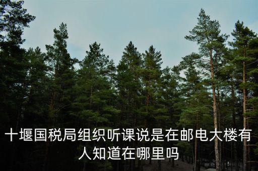 十堰國稅六辦指什么地方，十堰國稅局組織聽課說是在郵電大樓有人知道在哪里嗎