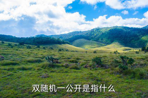 稅務(wù)雙隨機(jī)一公開是什么意思，雙隨機(jī)一公開屬于什么用語比如習(xí)語標(biāo)語或者成語之類的因?yàn)?/></a></span><span id=
