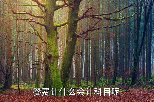 研發(fā)人員的餐費(fèi)計(jì)入什么科目，餐費(fèi)計(jì)什么會(huì)計(jì)科目呢