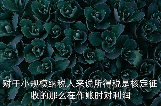 對(duì)于小規(guī)模納稅人來(lái)說(shuō)所得稅是核定征收的那么在作賬時(shí)對(duì)利潤(rùn)