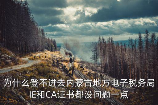 為什么ca登不了電子稅務局，國稅數字證書登陸失敗請問什么原因