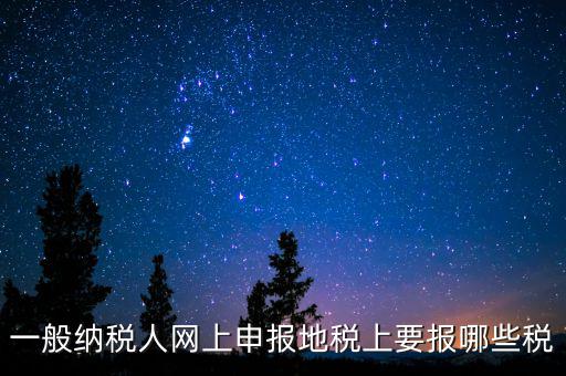 地稅都申報(bào)什么，一般納稅人網(wǎng)上申報(bào)地稅上要報(bào)哪些稅