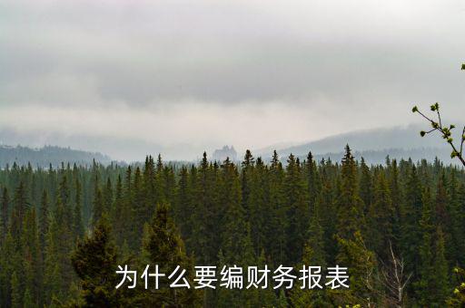 為什么要申報財務報表，為什么要編財務報表