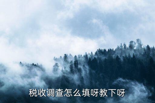 稅收調(diào)查主要調(diào)查什么，企業(yè)所得稅稅收調(diào)查