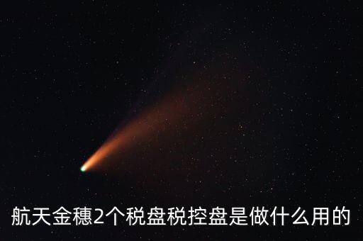 開票軟件兩盤是什么，第二個金稅盤裝開票軟件裝不了也沒有完全安裝這一步啥意思
