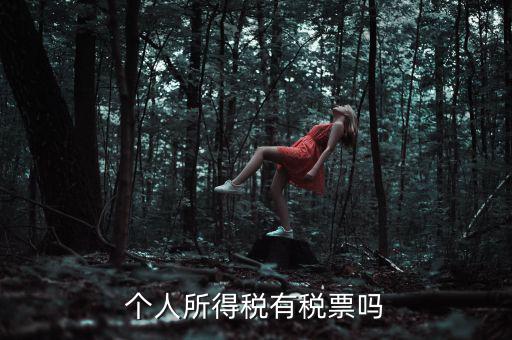 個人所得稅是什么發(fā)票，個人所得稅有稅票嗎