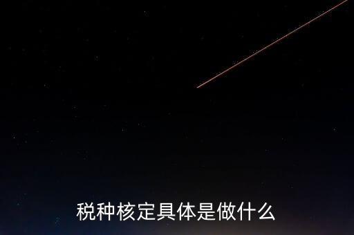 票中核定是什么核定的，哪些情況下要進行國稅票種核定