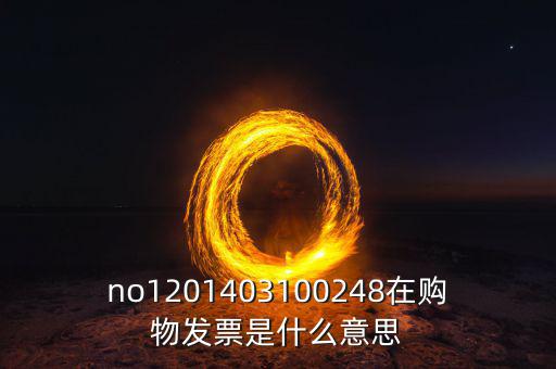 湖南發(fā)票號(hào)碼是什么意思，發(fā)票參考號(hào)是什么意思