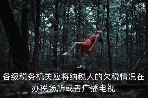 各級稅務(wù)機(jī)關(guān)應(yīng)將納稅人的欠稅情況在辦稅場所或者廣播電視