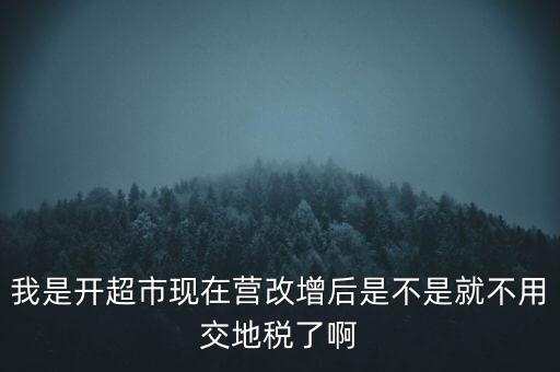 我是開(kāi)超市現(xiàn)在營(yíng)改增后是不是就不用交地稅了啊