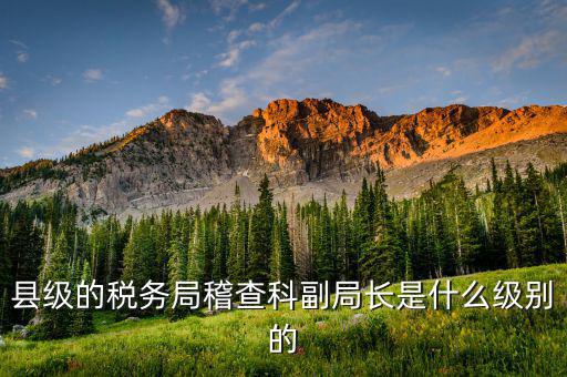 稅務(wù)局稽查科是什么，縣級(jí)的稅務(wù)局稽查科副局長(zhǎng)是什么級(jí)別的