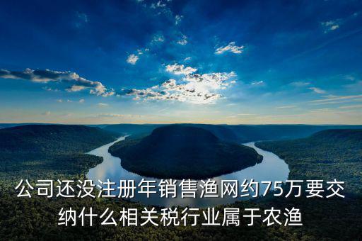 公司還沒注冊(cè)年銷售漁網(wǎng)約75萬(wàn)要交納什么相關(guān)稅行業(yè)屬于農(nóng)漁