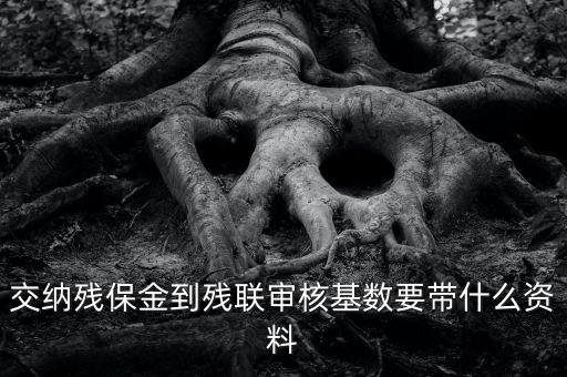 去稅務(wù)申報殘保金帶什么資料，去地稅交殘疾人保障金需要什么資料