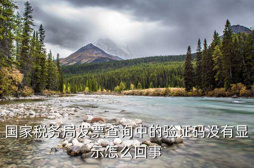 國稅查發(fā)票驗(yàn)證碼是什么，查稅票驗(yàn)證碼42是啥意思呀