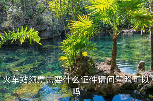 批票需要什么資料，申請發(fā)票要帶什么資料