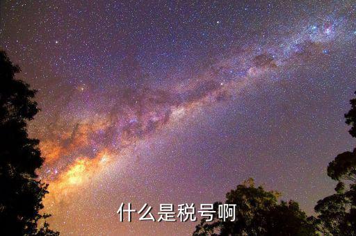 公司稅號是什么，公司的稅號一般有多少位