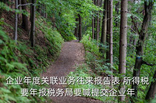 國(guó)稅關(guān)聯(lián)表是什么意思，所得稅中關(guān)聯(lián)關(guān)系是什么意思