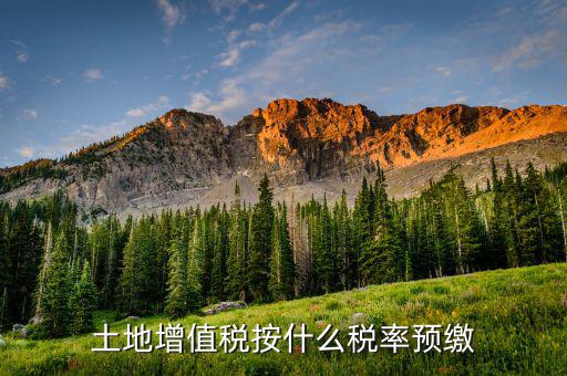 山東省土地增值稅按什么預(yù)繳，山東文登市土地增值稅預(yù)繳稅率是多少