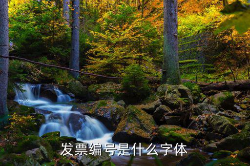 發(fā)票上的號碼是什么字體，發(fā)票編號是什么字體