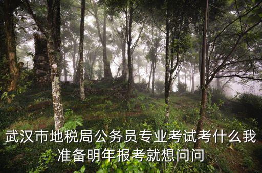 省地稅局復(fù)試考什么，武漢市地稅局公務(wù)員專業(yè)考試考什么我準(zhǔn)備明年報(bào)考就想問問