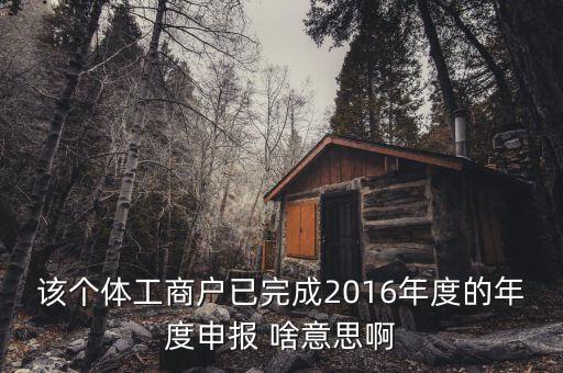 個體戶申報是什么意思，該個體工商戶已完成2016年度的年度申報 啥意思啊