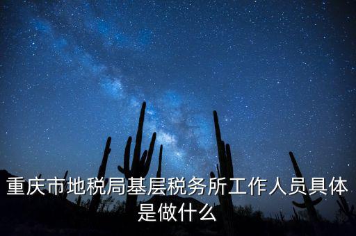 重慶地稅局前臺做什么的，重慶市地稅局基層稅務(wù)所工作人員具體是做什么