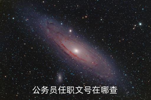 什么地方可以查任職文號，公務(wù)員任職文號在哪查