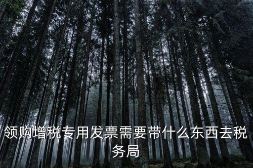 領(lǐng)專票帶什么資料，去稅務(wù)局領(lǐng)發(fā)票需要帶什么資料去