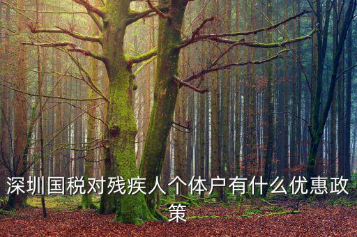 深圳國稅對(duì)殘疾人個(gè)體戶有什么優(yōu)惠政策