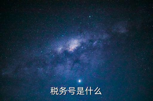 什么是稅務(wù)登記號(hào)，稅務(wù)號(hào)是什么