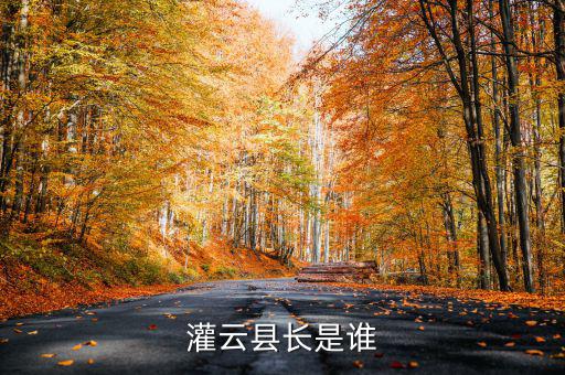 灌云國稅局局長叫什么，國家稅務(wù)局局長叫什么