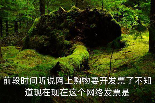 網(wǎng)絡(luò)發(fā)票是什么，在網(wǎng)上買東西電子發(fā)票與普通發(fā)票有區(qū)別嗎