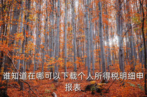 下載什么看申報稅，誰知道在哪可以下載個人所得稅明細申報表