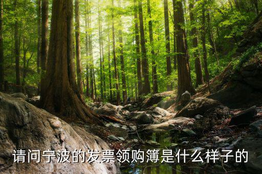 發(fā)票領用簿什么樣子，會計發(fā)票領購沒經(jīng)驗想請問領購的發(fā)票時什么樣的有金額顯示嗎