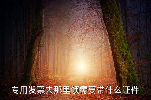 專用發(fā)票去那里領需要帶什么證件