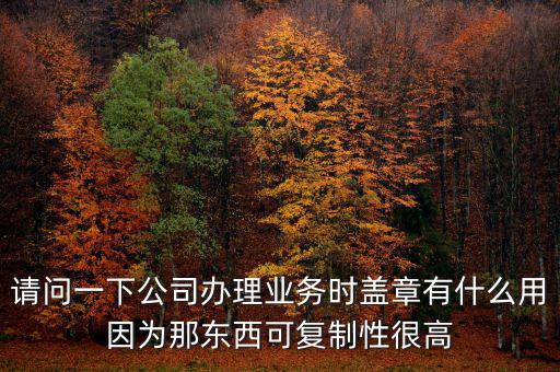 請(qǐng)問(wèn)一下公司辦理業(yè)務(wù)時(shí)蓋章有什么用因?yàn)槟菛|西可復(fù)制性很高