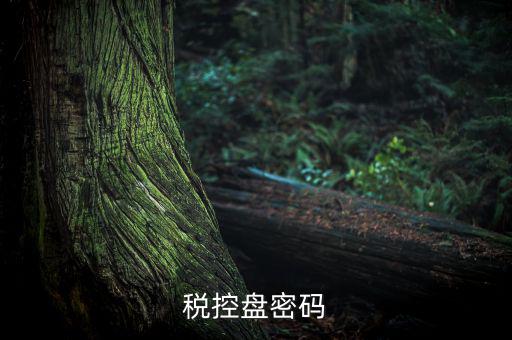 稅控盤證書密碼是什么意思，稅控盤上報匯總密碼是什么