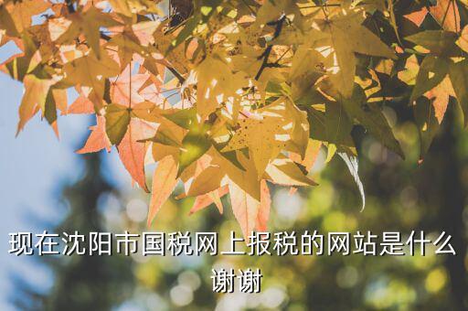 國稅交稅的網(wǎng)站是什么，現(xiàn)在沈陽市國稅網(wǎng)上報(bào)稅的網(wǎng)站是什么 謝謝