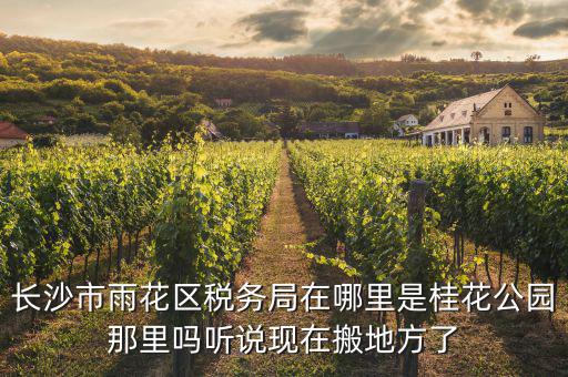 長沙國稅局在什么地方，長沙國稅局在哪