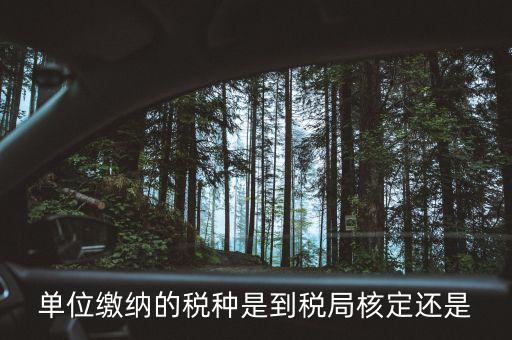 什么時候 稅種核定，單位繳納的稅種是到稅局核定還是