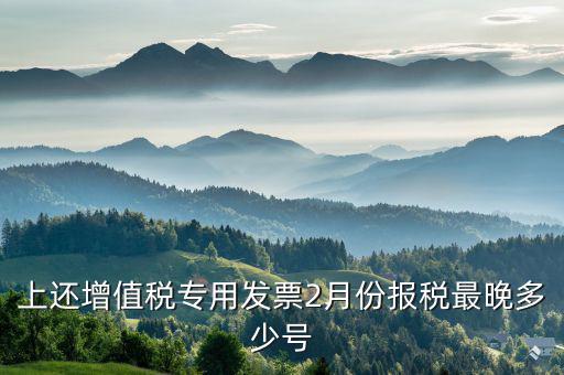 己開具專用票最遲什么時(shí)侯報(bào)稅，銷售貨物開具了發(fā)票什么時(shí)候報(bào)稅