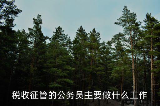 稅收管理員干什么的，稅收征管的公務(wù)員主要做什么工作