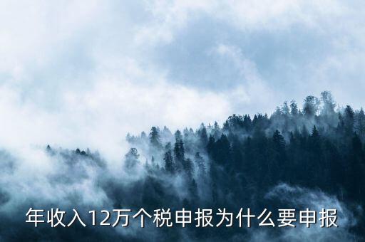 為什么12萬要申報(bào)表，每個(gè)月都已繳納為什么年收入超過12萬還需要再申報(bào)