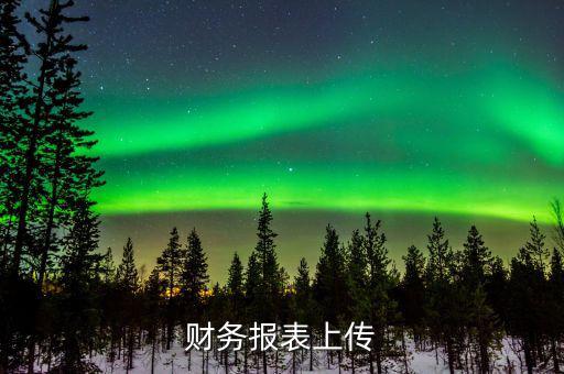 每年上傳什么財務(wù)報表，報哪些稅時需要上傳財務(wù)報表麻煩詳細一點報增值稅時怎樣上傳財